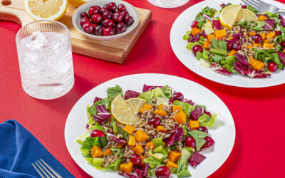 Quick & Easy Winter Salad Recipes to Have on Repeat